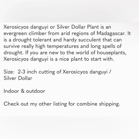 Rare Cutting Xerosicyos danguyi / Silver dollar / String of Coins - Picture 4 of 12